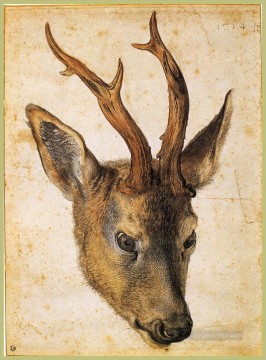 アルブレヒト・デューラー Painting - 鹿の頭 アルブレヒト・デューラー